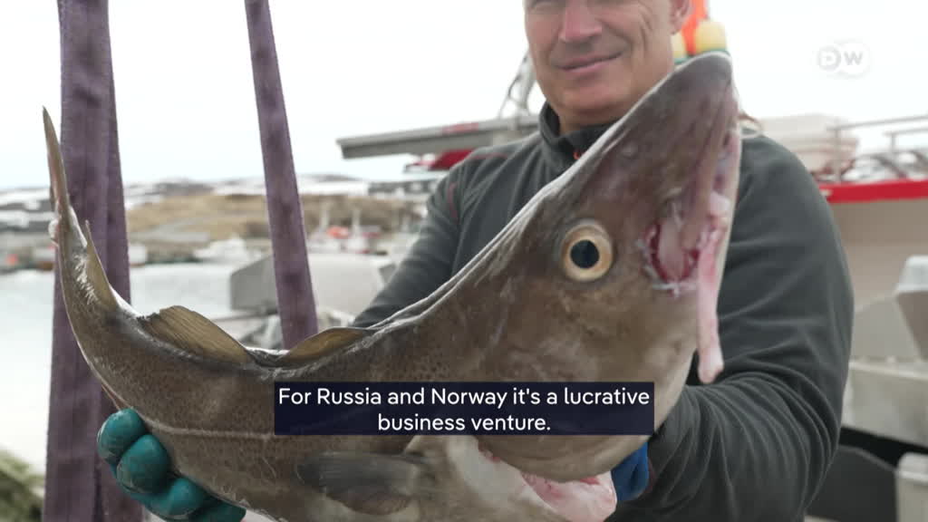 Hooked on cod: Why Norway’s collaboration with Russia is a security threat for Europe