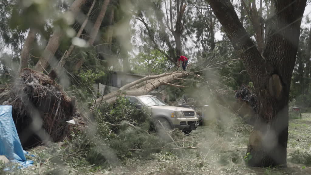 Florida residents return, clean up after Hurricane Milton