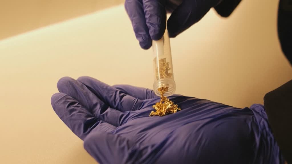 Brasil: Programa "Ouro Alvo" contra la mineria ilegal