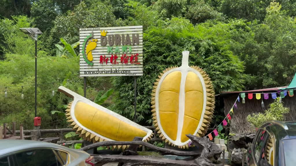 Durian Fever in Malaysia: A spiky delicacy sees explosive sales boost from China