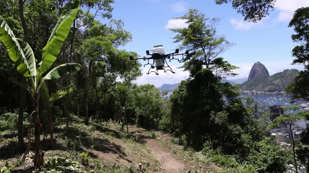 How drones could help reforest the world's green lungs
