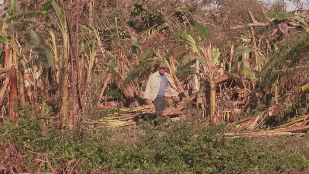 Preocupación por la seguridad alimentaria en Cuba tras el paso del huracán Rafael