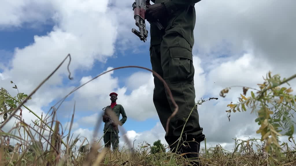 Armed guards watch over threatened farmers in Borno state, Nigeria