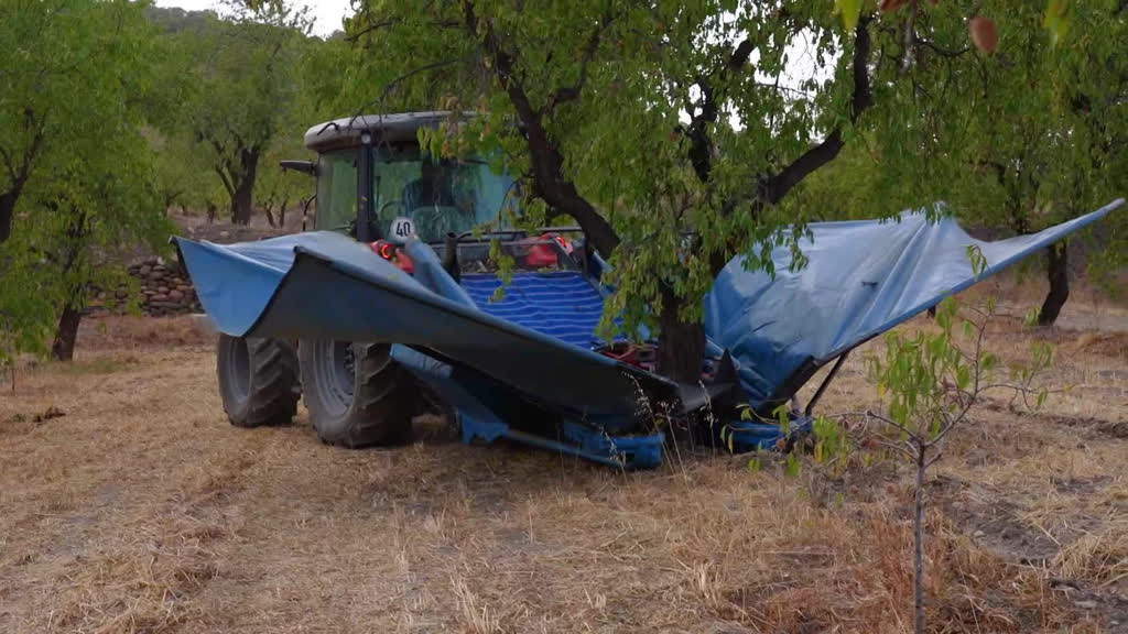 La agricultura regenerativa como solución a los problemas ocasionados por los monocultivos en España