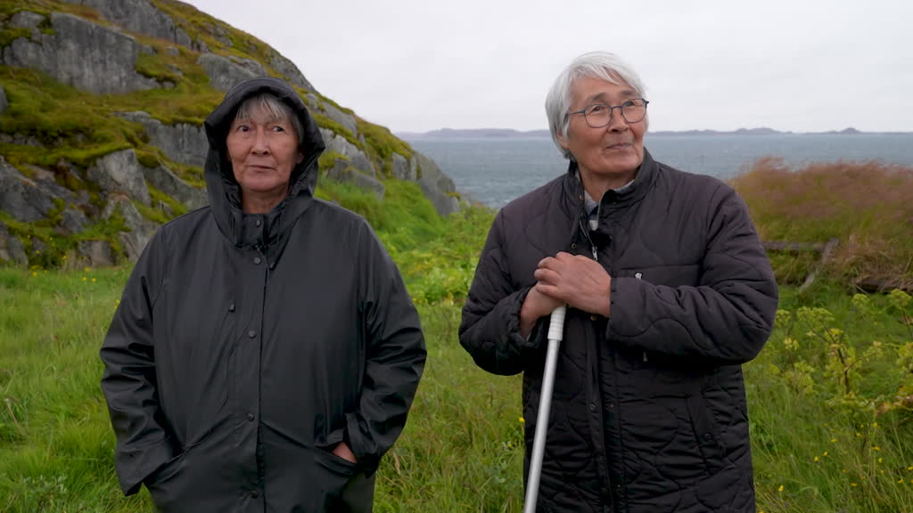 Greenland between US takeover bids and autonomy 