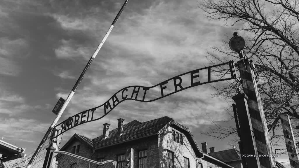 Germany's darkest chapter: Auschwitz and the holocaust