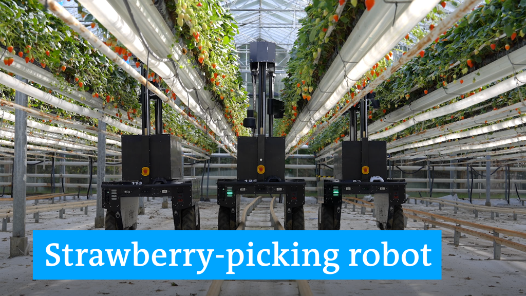 013 - These agricultural robots are revolutionizing farming