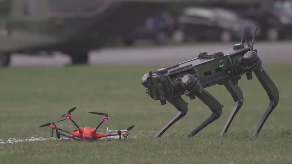 Germany to allow police to shoot down drones