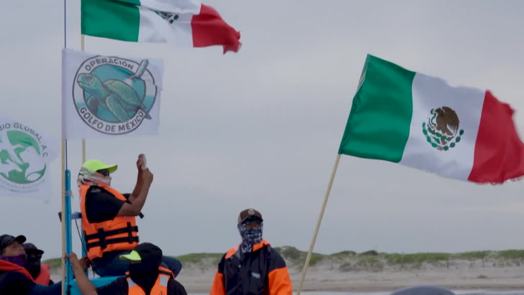 Las actividades de SpaceX afectan a México