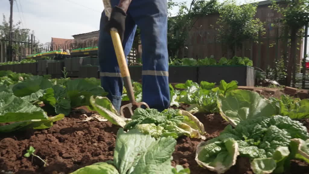 Extreme heat puts South African farmers on alert