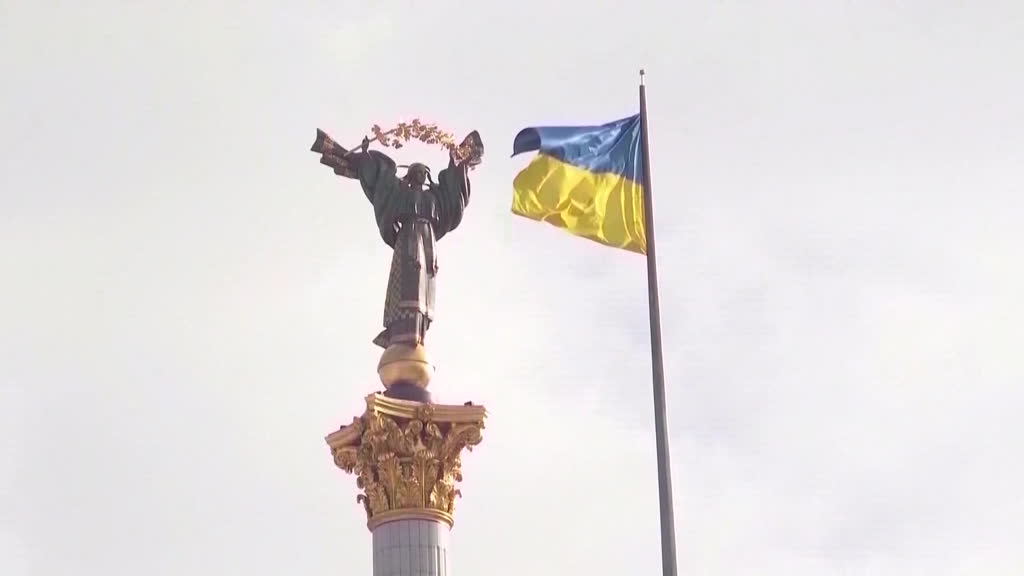 Russia's war in Ukraine: Is Trump's land-for-peace deal feasible?