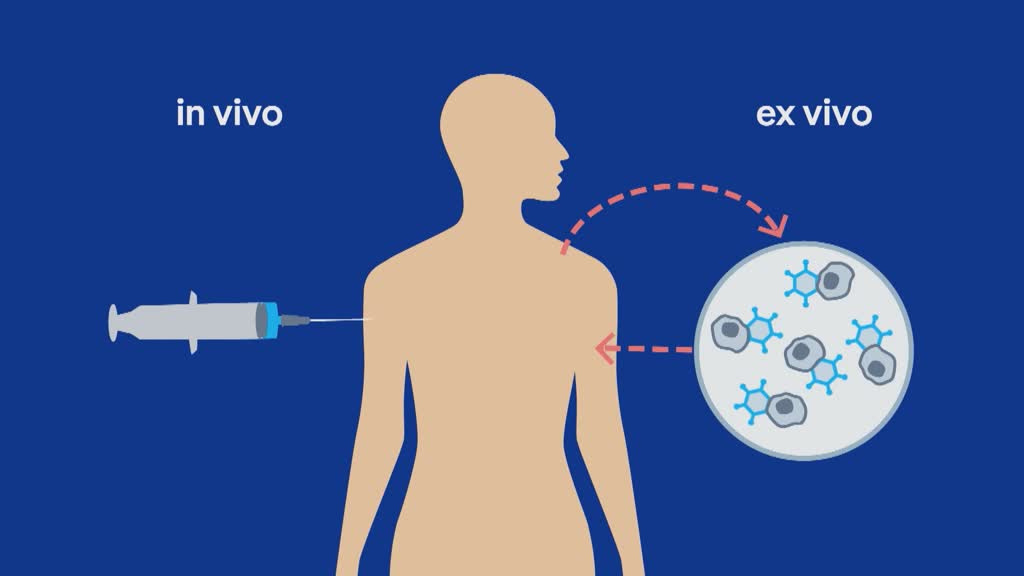 La terapia genética y cómo funciona