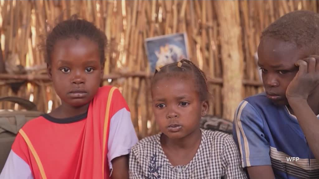 Sudan conference: World leaders urge "humanitarian truce"