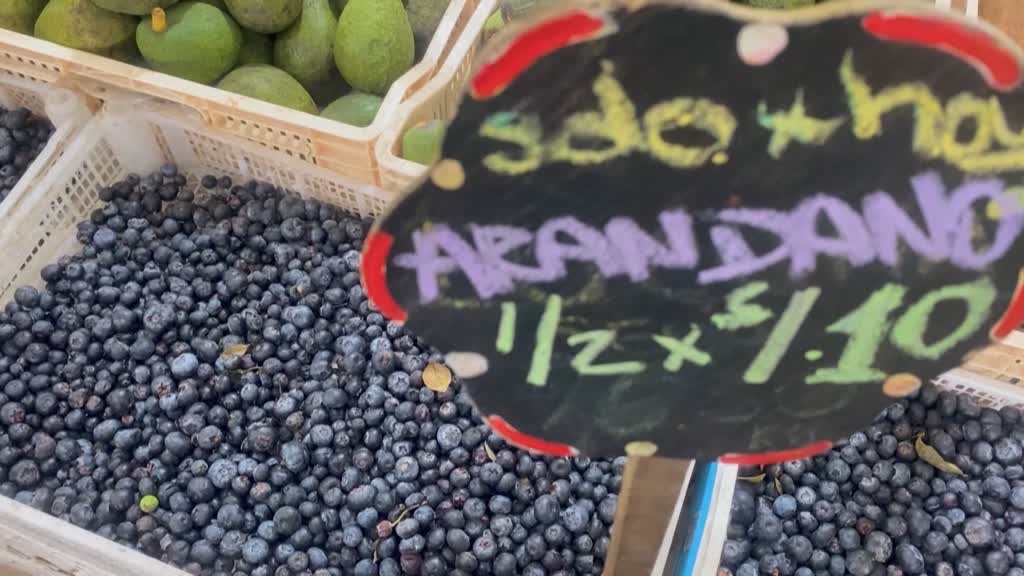 Perú apunta a China como mercado para sus arándanos
