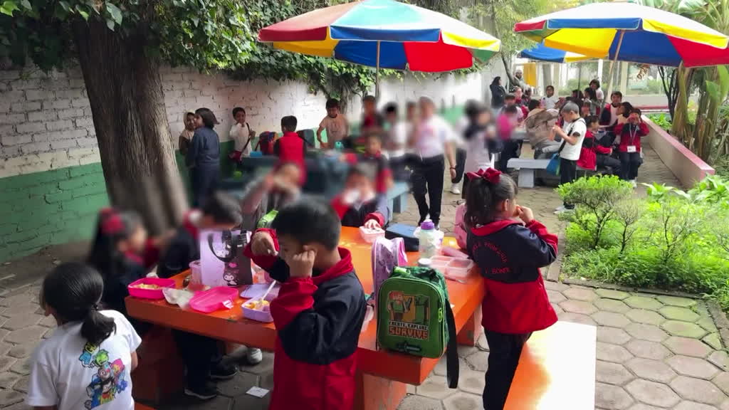 Sin comida chatarra en escuelas de México