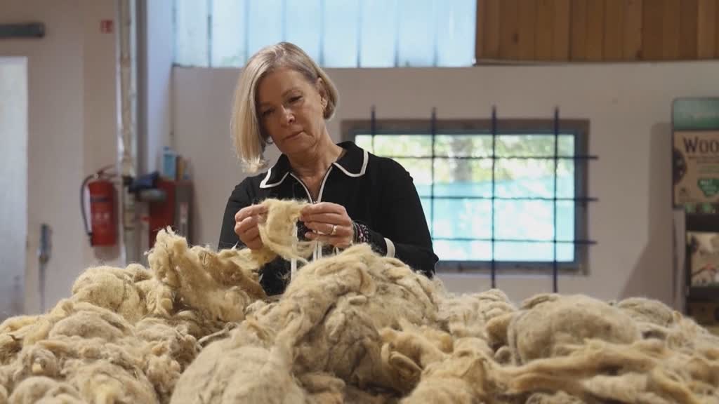 Sheep farmers finding new uses for waste wool 