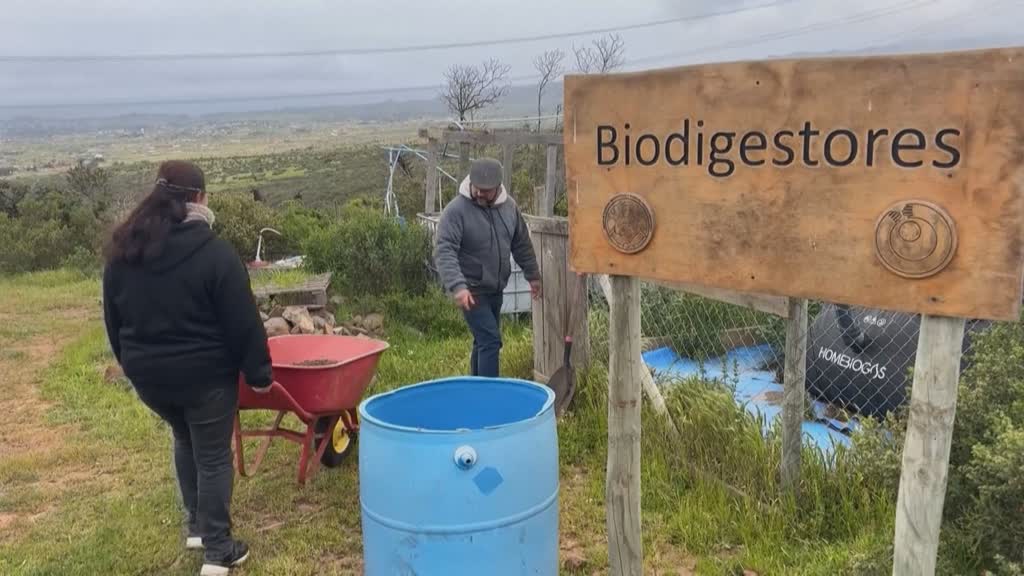 Granja chilena impulsa innovación ambiental