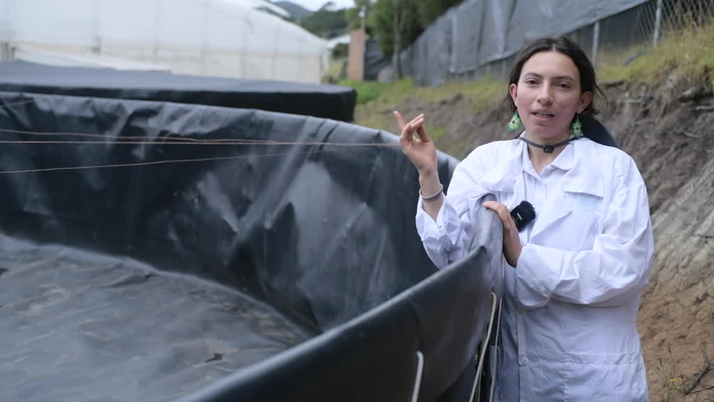 Bogotá se queda sin agua