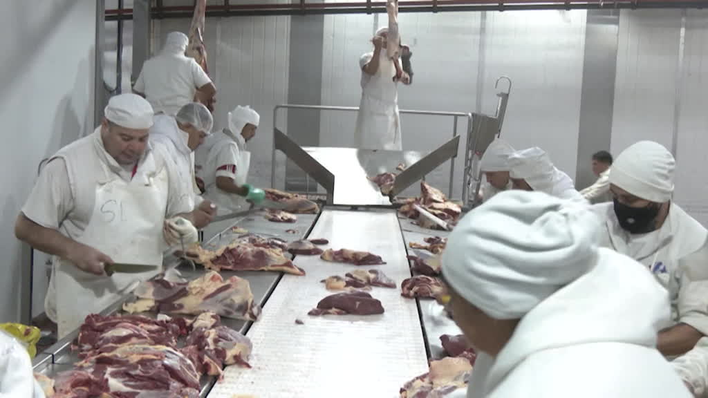Productores de carne en Argentina temen por su negocio 
