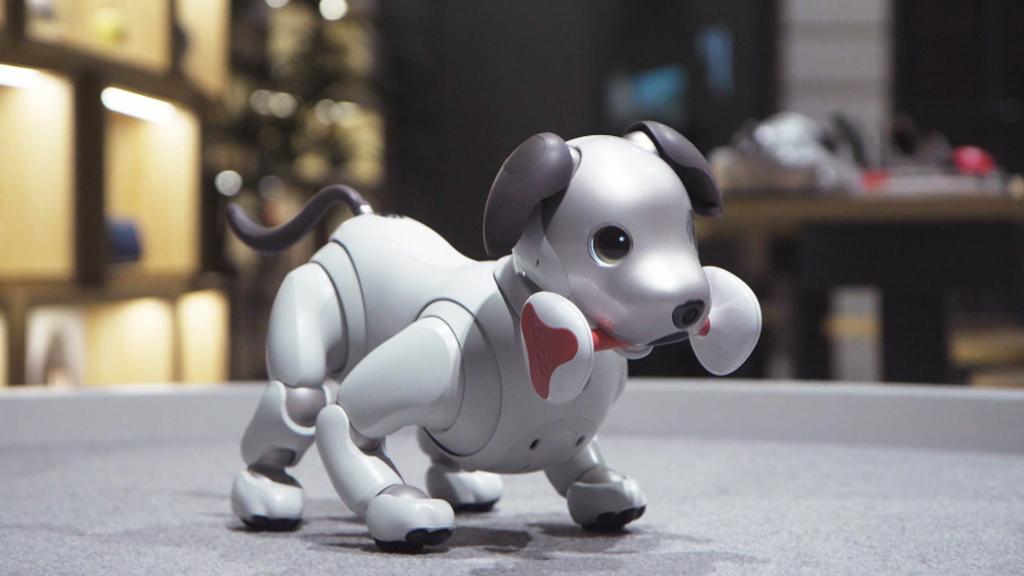 003 - Cuddling with robots – machine pets