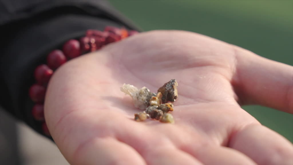 Gold rush tourism revives China's mines