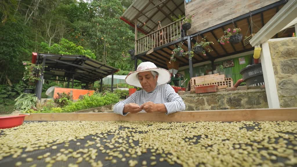 Café colombiano busca nuevo mercados