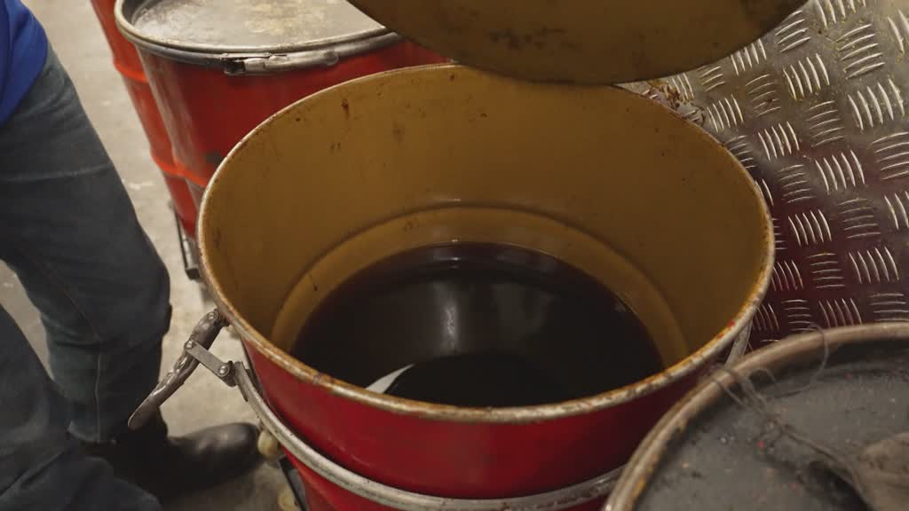 Middle East oil shock fuels biodiesel boom