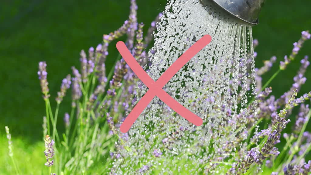 Water restrictions across Germany 