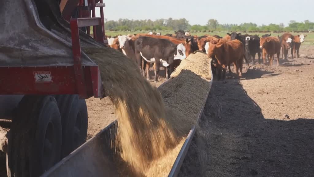 Trump insinúa mayor importación de carne argentina