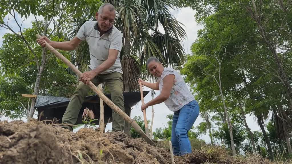 Tierras devueltas a campesinos colombianos