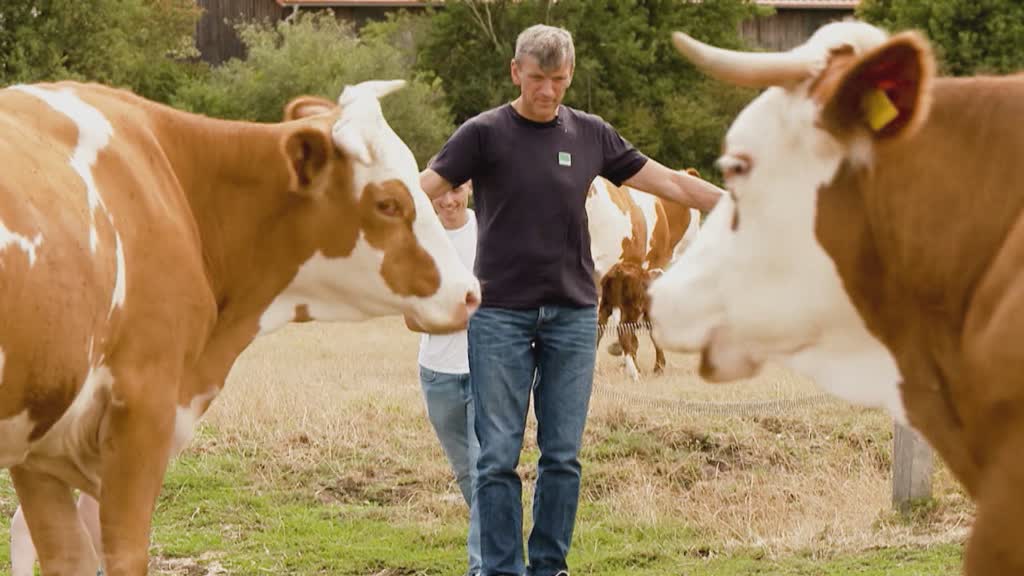 Germany’s ongoing drought forces farmers to change